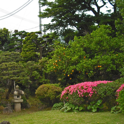 四季のご紹介